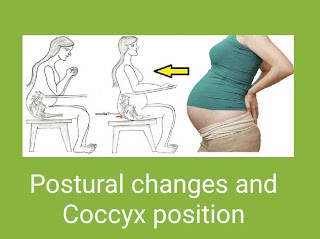 Causes for coccyx or tailbone pain during pregnancy